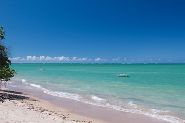 Bright scenic view of holiday paradise: northeast beach of Brazil, Alagoas state.