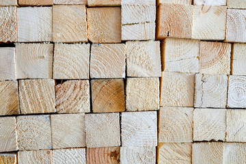 Detail and Textured of Rain tree wood (softwood) board, Background