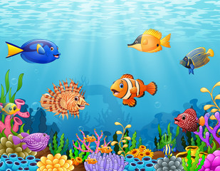 Cartoon fish under the sea
