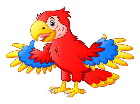 Cute Parrot cartoon