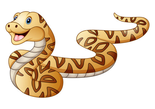 Cute snake cartoon