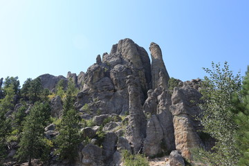 Custer State Park
