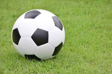 Obraz premium Football or soccer ball on the lawn, outdoor activities. 
