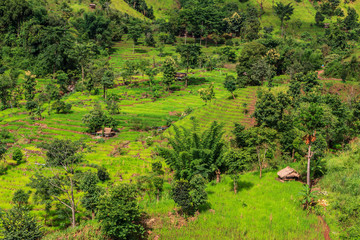 Fototapeta na wymiar Green Terraces rice field, a beautiful natural beauty on mountain in Nan,Khun Nan Rice Terraces, Boklua Nan Province, Thailand