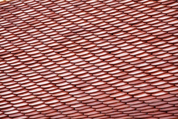 templw roof tile texture