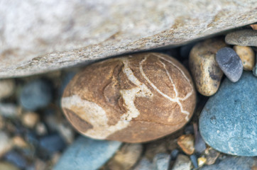 Colorful stones on a mountain river bank, colorful texture background, summer morning