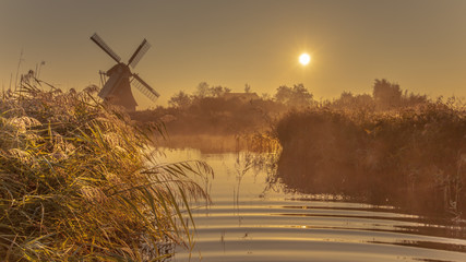 Dutch windmill in foggy wetland