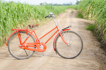 Fototapeta na wymiar Vintage bicycle nature background