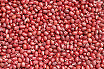 small red bean background