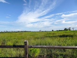 Fototapeta premium looking through a wooden fence at the Everglades