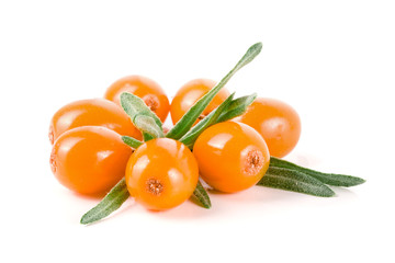 Sea buckthorn. Fresh ripe berry with leaves isolated on white background macro