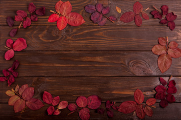 Flat lay frame of autumn crimson leaves on a dark wooden background.