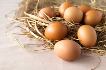 Eggs on hay