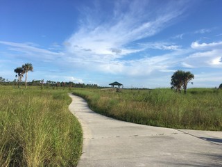 hiking trail in the Everglades © Jaimie Peterson