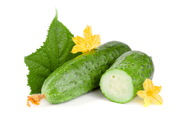 cucumber with leaf and flower isolated on a white background