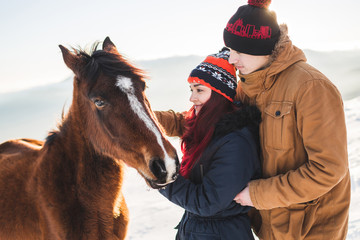 Couple petting and feeding horse with pleasure in shiny sunlight. Winter in mountains