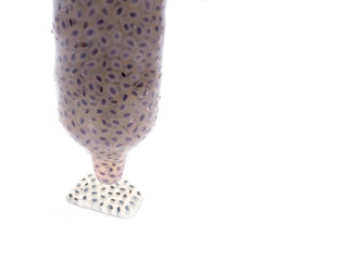 Condom with gelly look like sperm