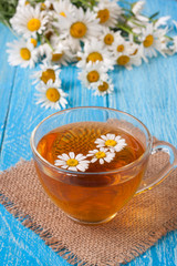 Herbal tea with fresh chamomile flowers on blue wooden background
