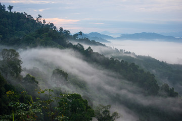 Landscape of misty mountain forest covered hills at khao khai nui