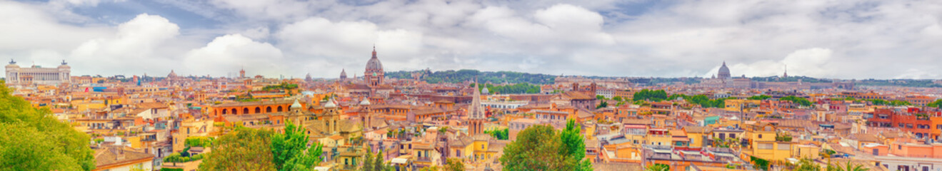 Fototapeta na wymiar View of the city of Rome from above, from the hill of Terrazza del Pincio. Italy.