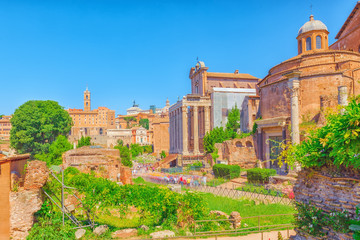 Obraz premium Archaeological and historical objects in Rome, united by the name - Roman Forum. Roman Forum.Temple of Romulus (Tempio del Divo Romolo).