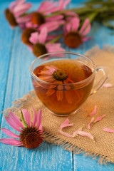 Cup of echinacea tea on blue wooden table
