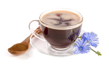 Chicory cup and chicory flower isolated on white background