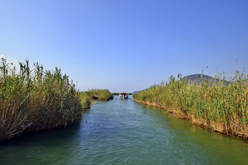 Fototapeta na wymiar Boat trips in Dalyan River Fethiye Turkey