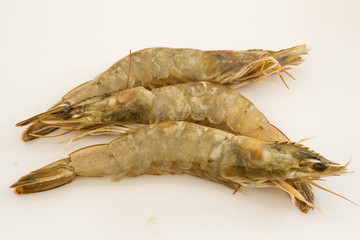 crevettes