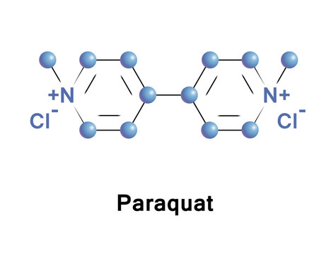 Paraquat Organic Viologen