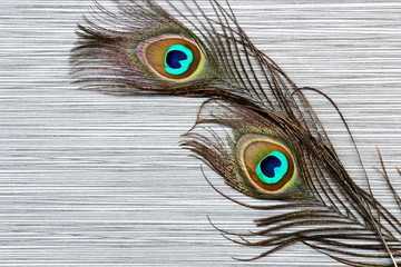 Peacock feathers background on stone