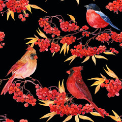seamless pattern for fabric birds .cardinal red bird bullfinch,Rowan,illustration watercolors