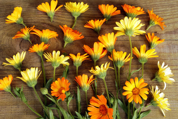 the flowers are bright marigold on the table