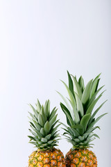 Ripe pineapples on grey background