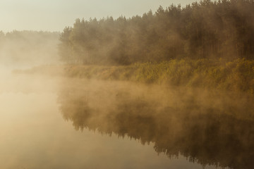 Fototapeta na wymiar Dense fog over lake and forest in autumn season