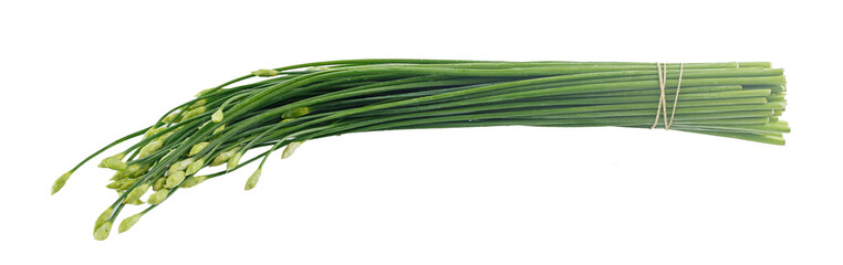 Chinese chives flower