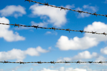 Barbed wire. Barbed wire on fence with blue sky.