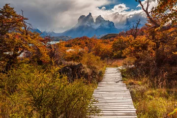 Photo sur Plexiglas Cuernos del Paine Beautiful autumn in Torres del Paine, Chile
