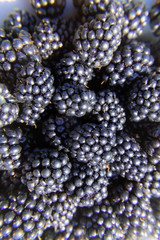 A lot of blackberries in the dish.