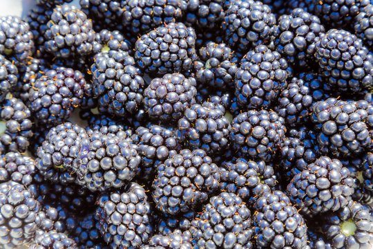 A lot of blackberries in the dish.