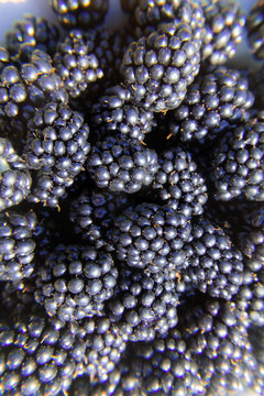 A lot of blackberries in the dish.