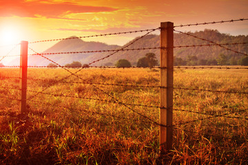 Barbed wire fence and and sunset sky over farm field