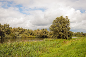 Mirror smooth stream in a natural landscape
