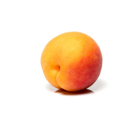 Apricot