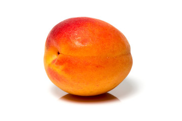 Apricot
