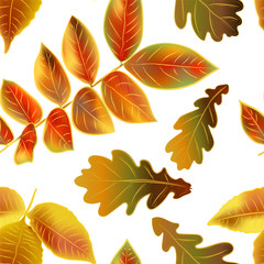 Beautiful bright autumn leaves on white background, vector seamless pattern