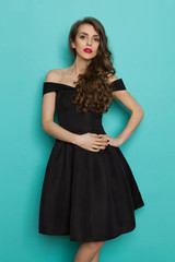 Fototapeta premium Beautiful And Fragile Young Woman In Black Cocktail Dress