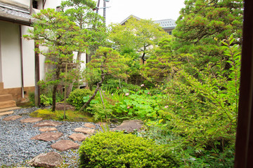 Japanese traditional garden of an old house at Matsue city in Shimane, Japan
