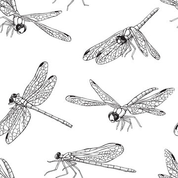 Seamless pattern with different dragonfly. Vector black and white illustration.