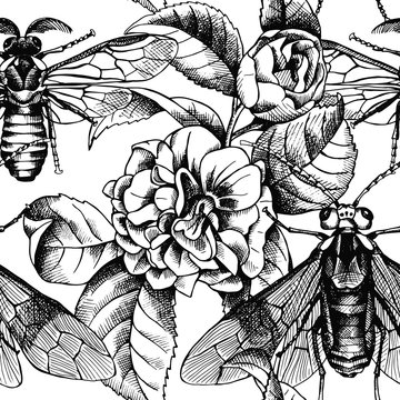Seamless pattern with image of camellia flowers and bee, wasp. Vector black and white illustration.